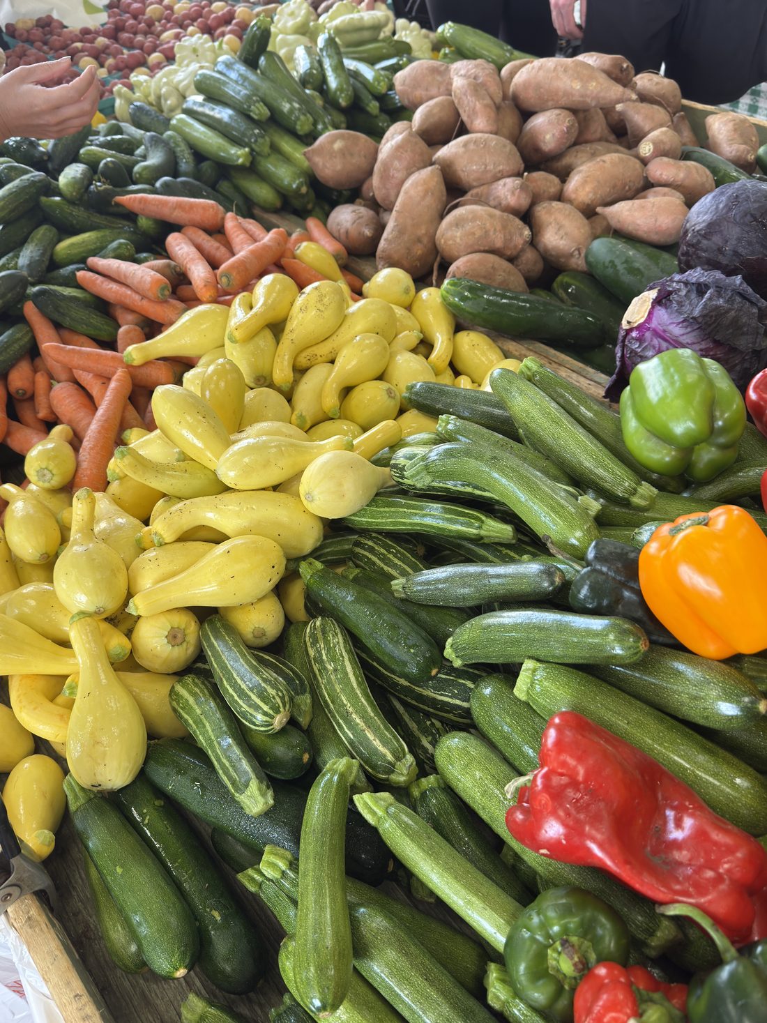 Squash, zucchini, carrots, and peppers piled high