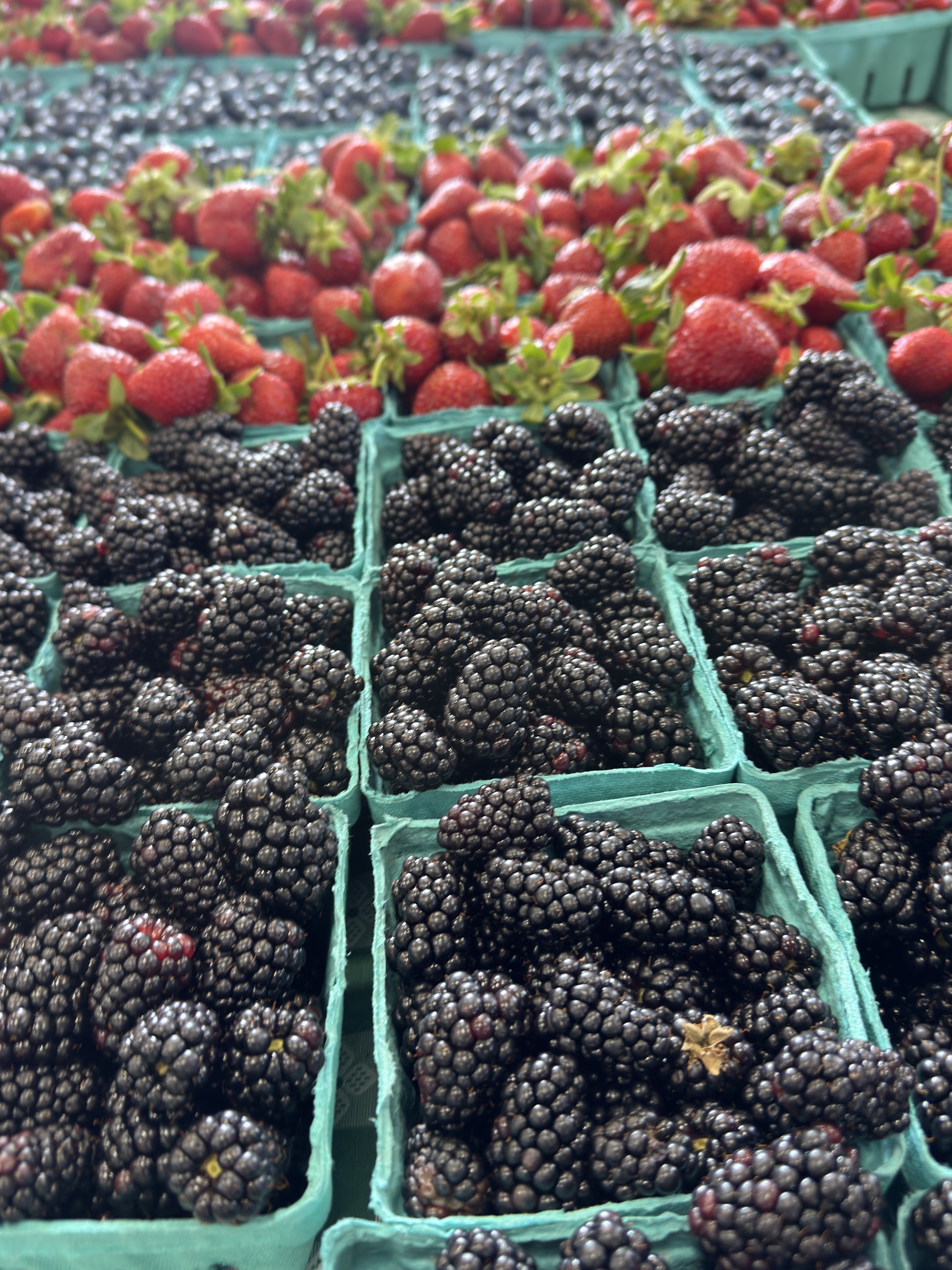 Pints of blackberries, strawberries, and blueberries