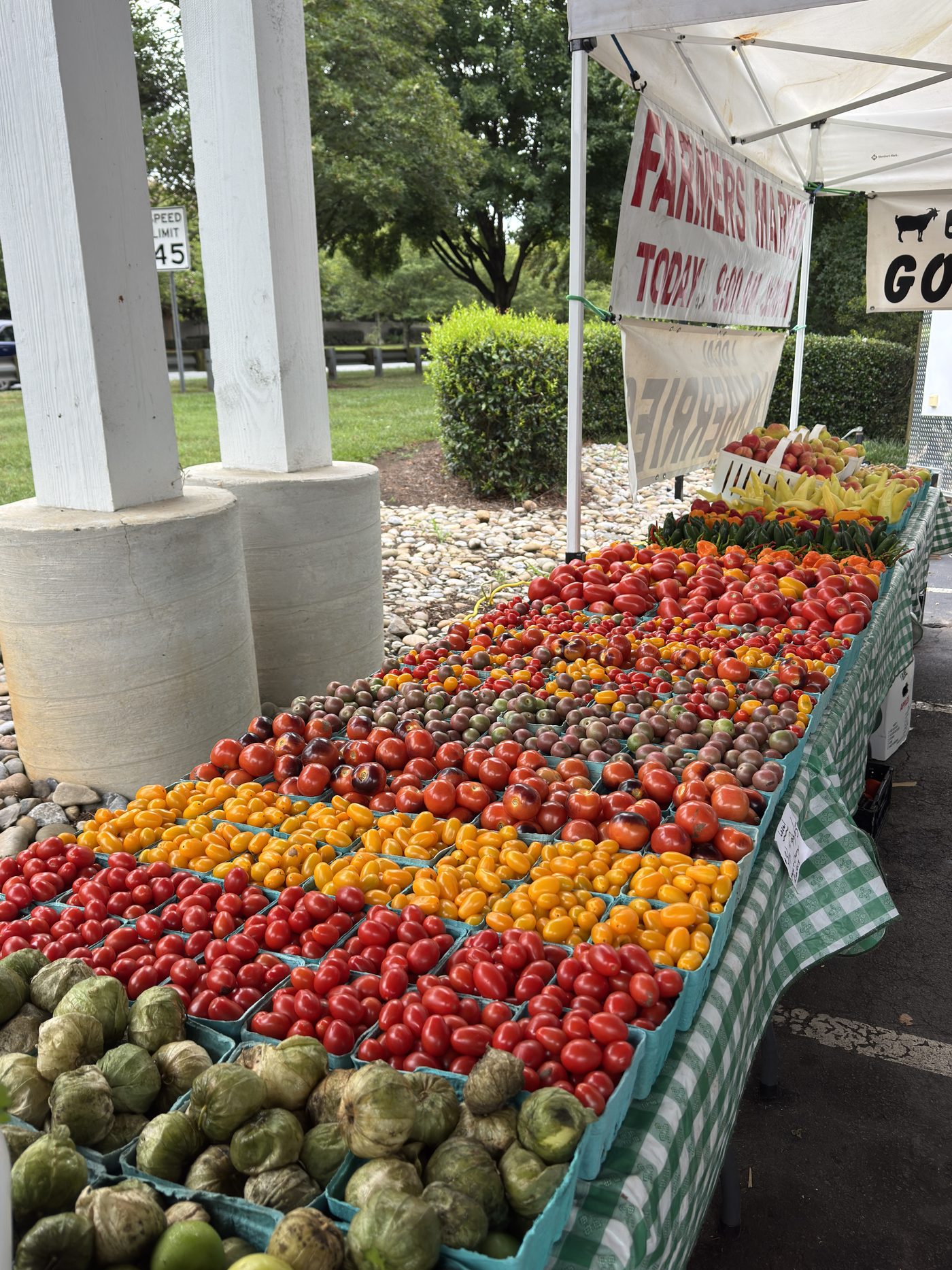 Rows of cherry and heirloom tomatoes at the market