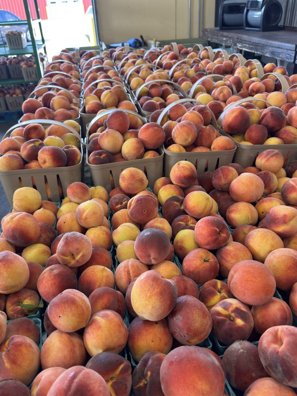 Baskets overflowing with fresh peaches